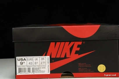 Hyperoad 1 Retro Jordan Low Shadow 0904